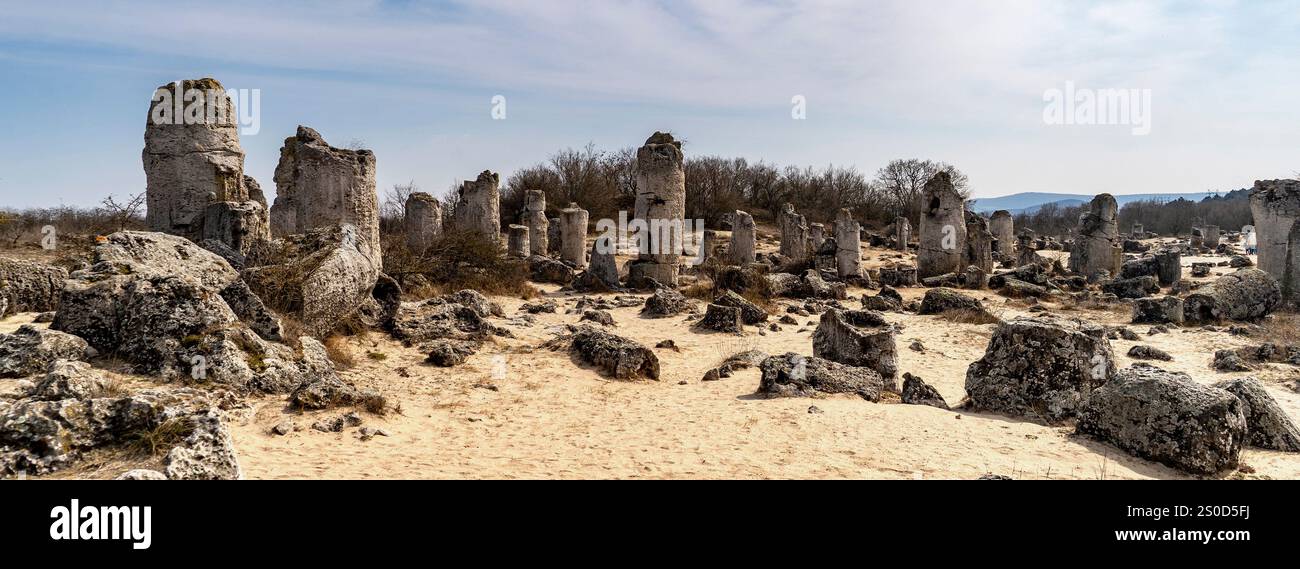 A landscape featuring ancient stone pillars scattered across a sandy ...