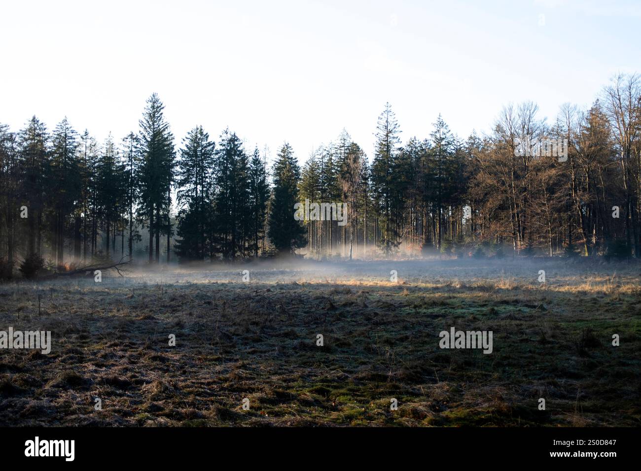 GROUNDSPEAK Travel Bug Belgium - Geocaching Trackable Unaktiviert