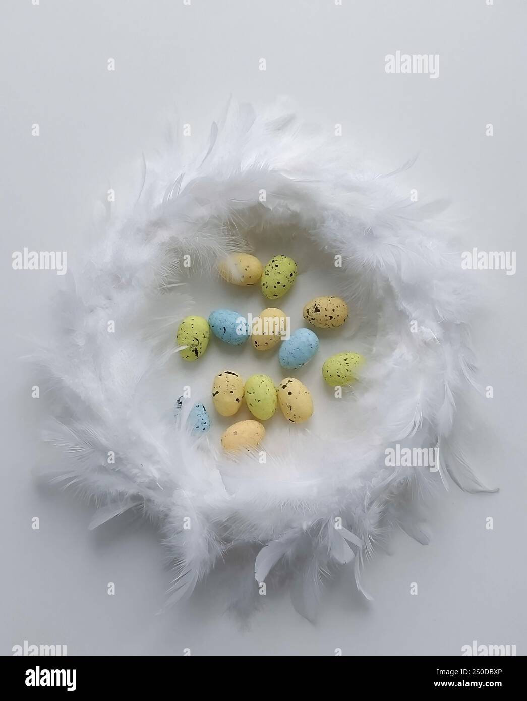 Speckled Easter Eggs in Feather Nest on White Background Stock Photo