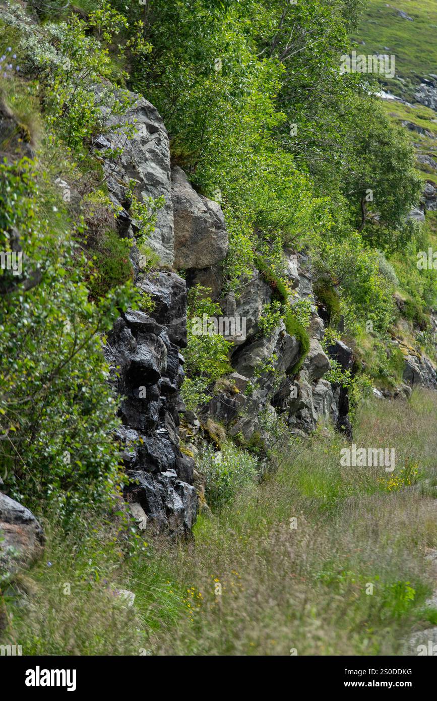 Piles of rock on the side of the road with green trees growing on them. Stock Photo
