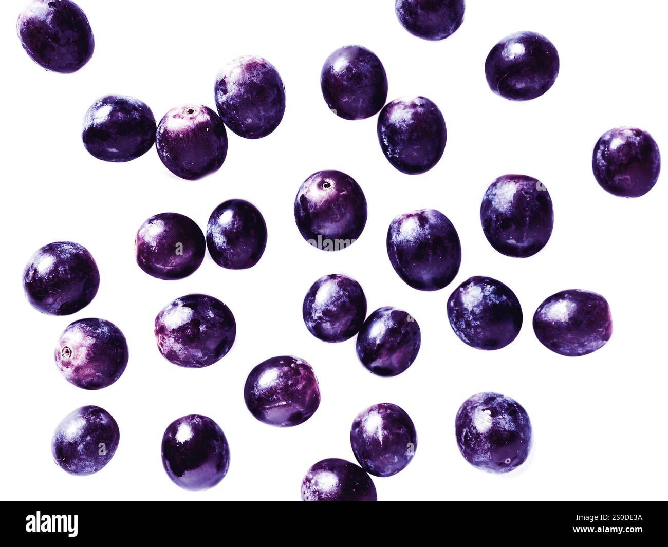 Dark plumes, falling down on white Stock Photo