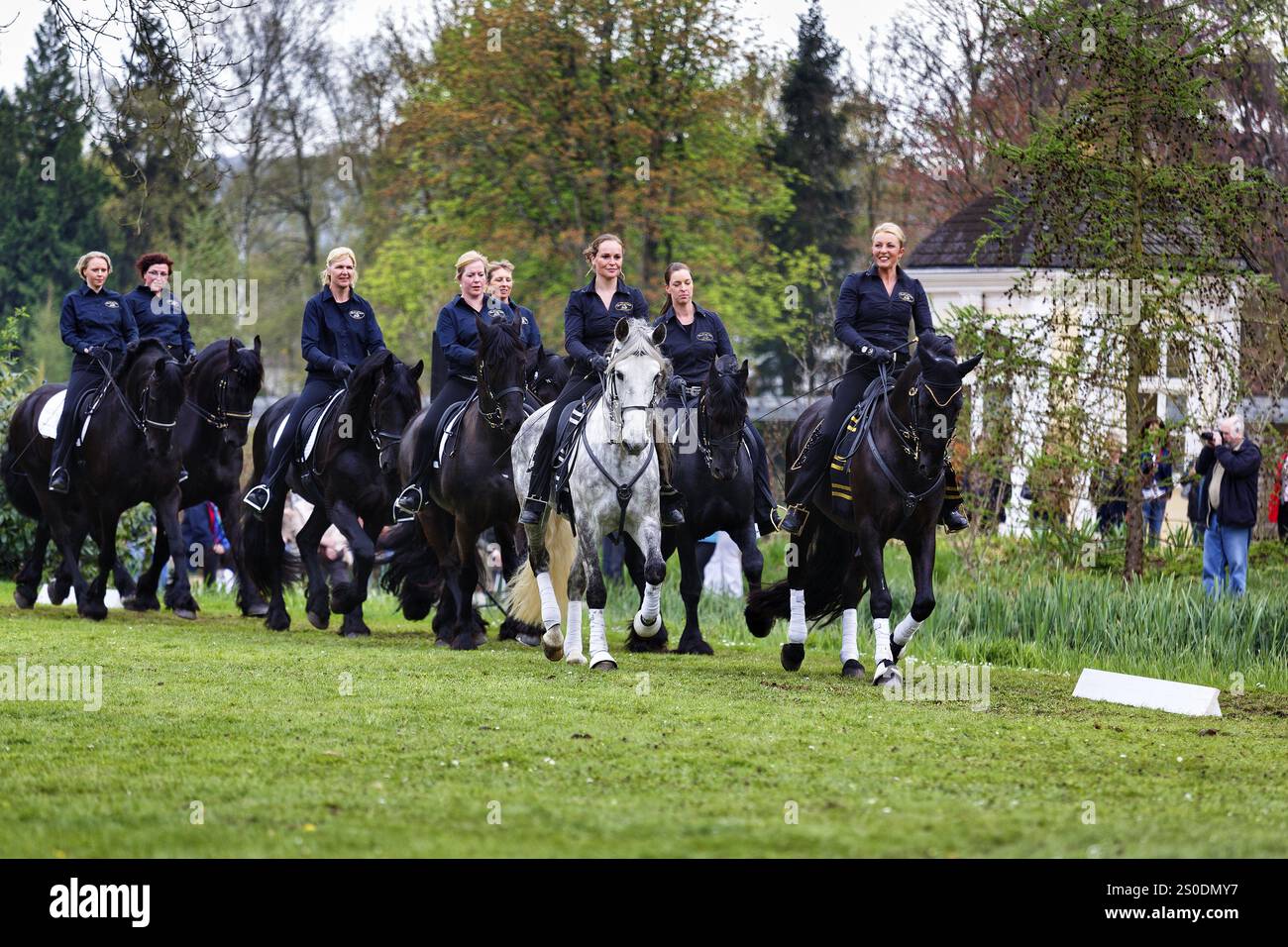 Friesian quadrille demonstration, group of female riders in dressage ...