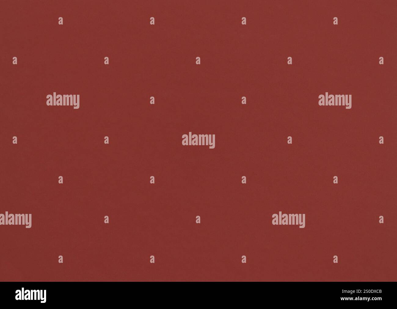 Uniform brown background throughout the frame. Stock Photo