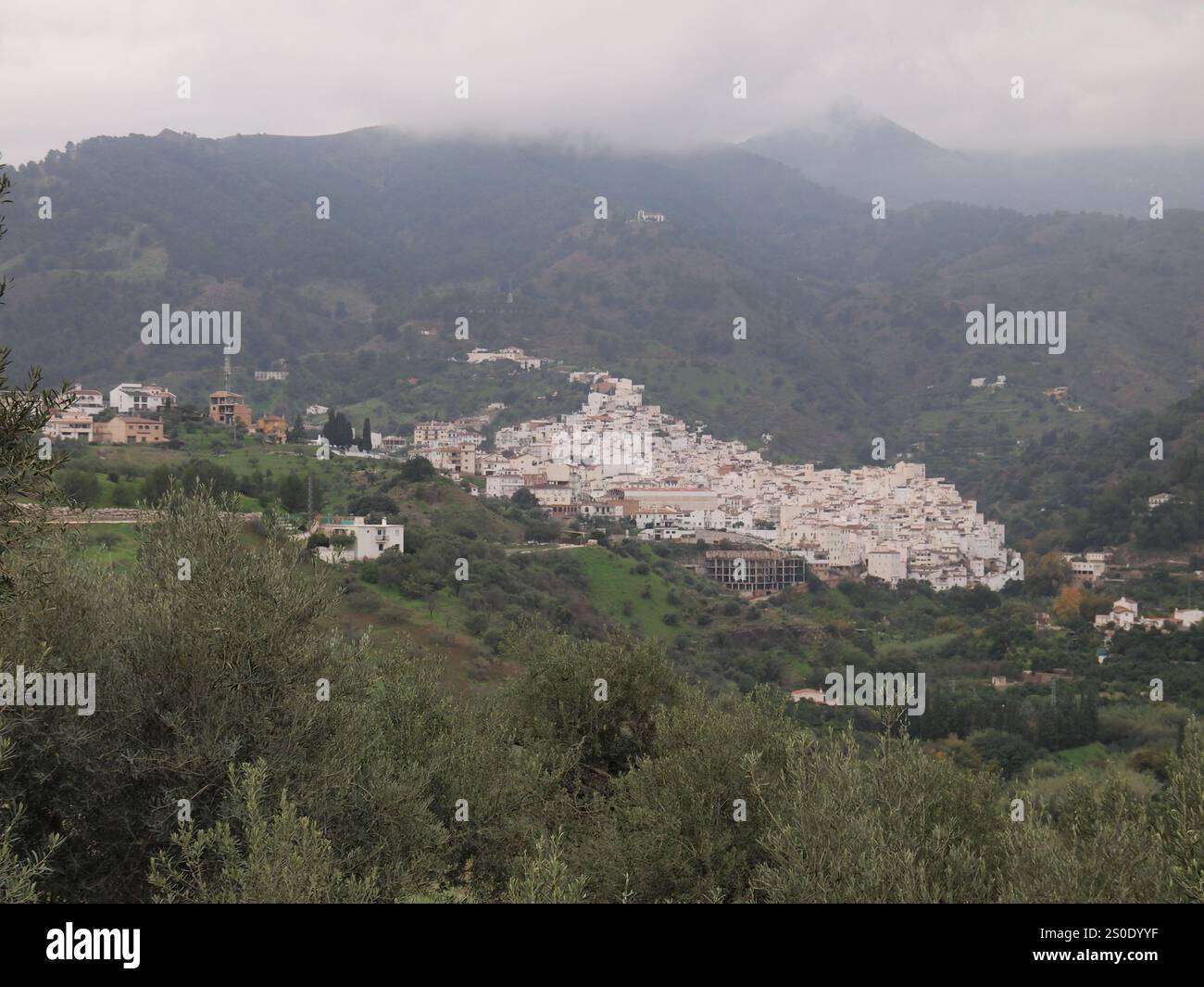 Tolox (Province of Málaga, Andalusia, Kingdom of Spain) Stock Photo