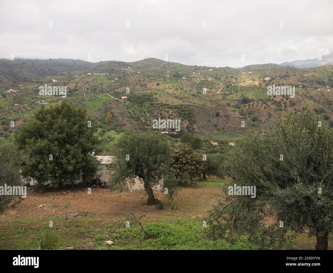 Tolox (Province of Málaga, Andalusia, Kingdom of Spain) Stock Photo