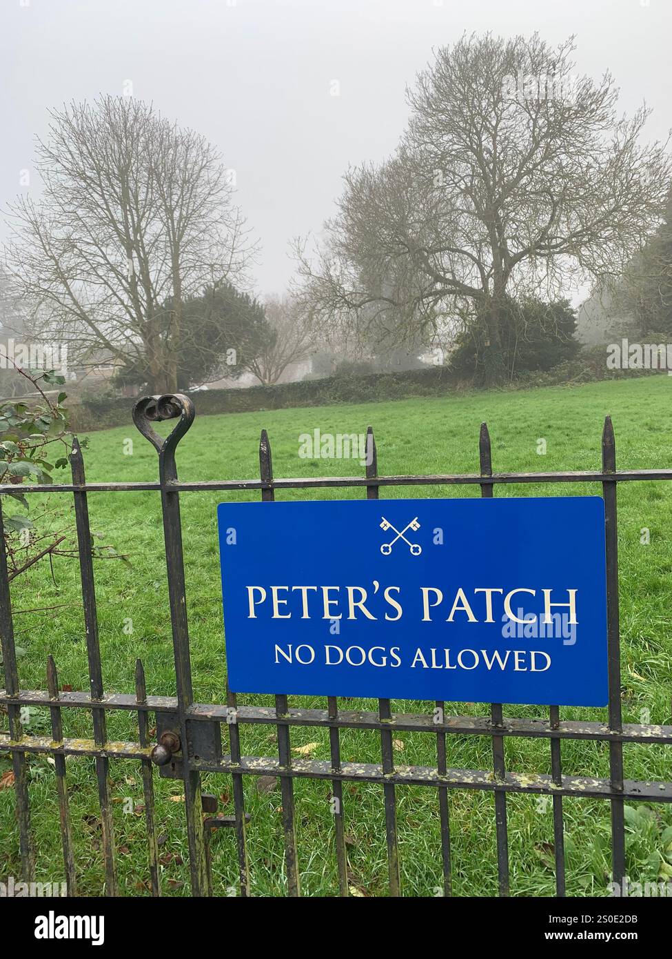 Weston Favel Village Northampton England UK place fog foggy weather thatch thatched roof Church God Christmas New Year time scaffolding trees UK - Smartphone Captured Stock Image