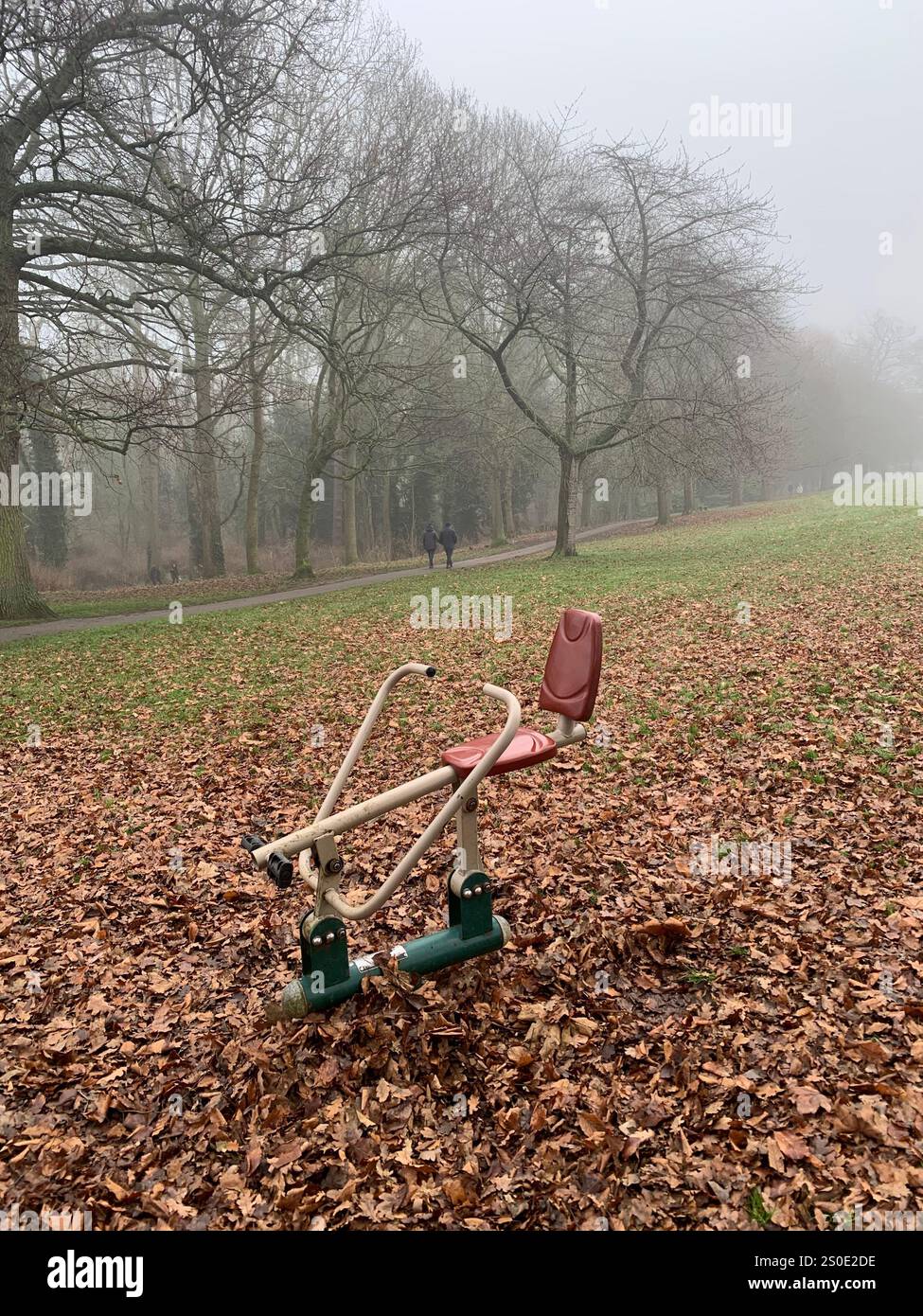 Abington Park Northampton Northamptonshire England UK fog ducks water mist misty place walking view Winter Autumn leaves cold brown Christmas - Smartphone Captured Stock Image