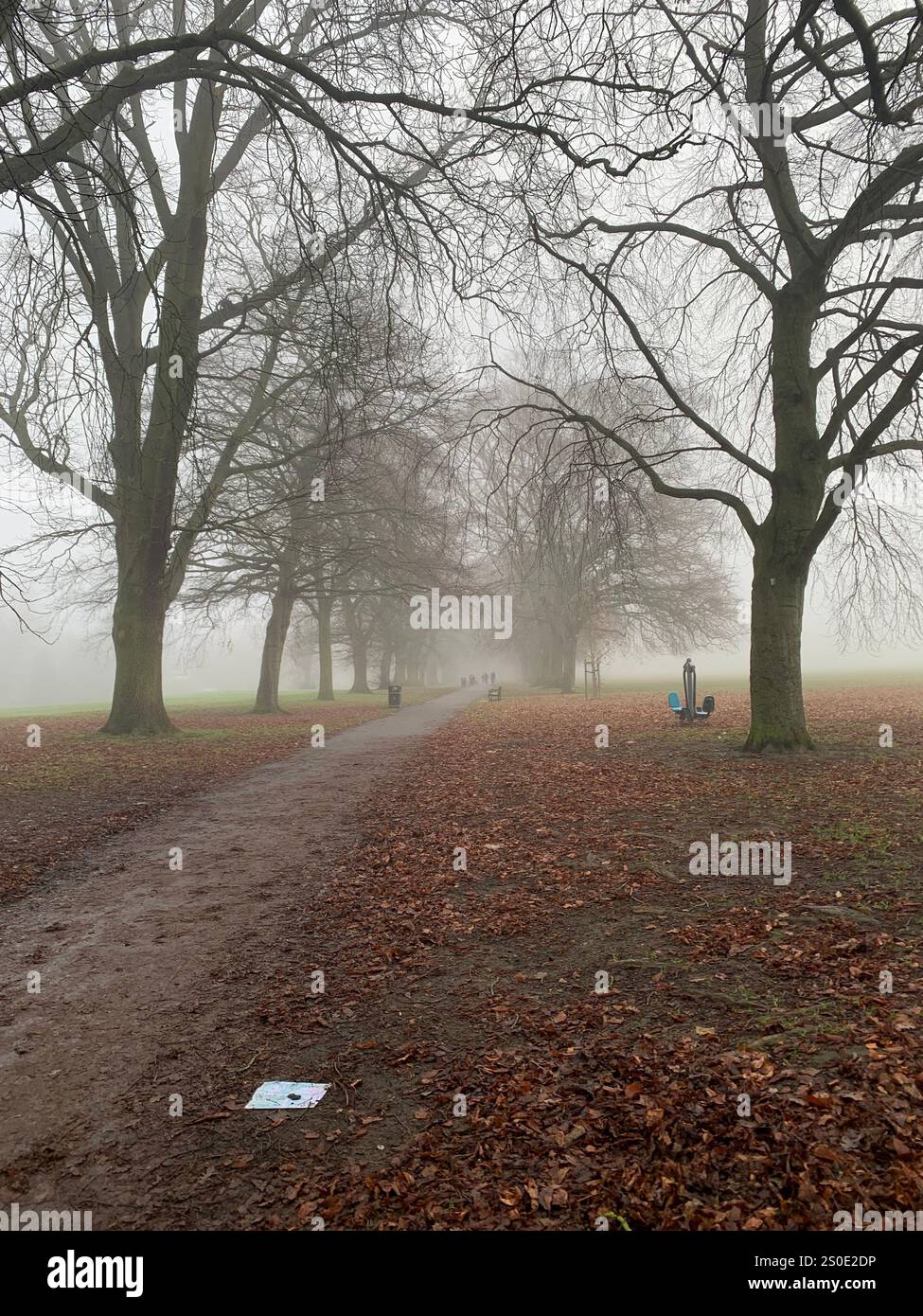 Abington Park Northampton Northamptonshire England UK fog ducks water mist misty place walking view Winter Autumn leaves cold brown Christmas - Smartphone Captured Stock Image