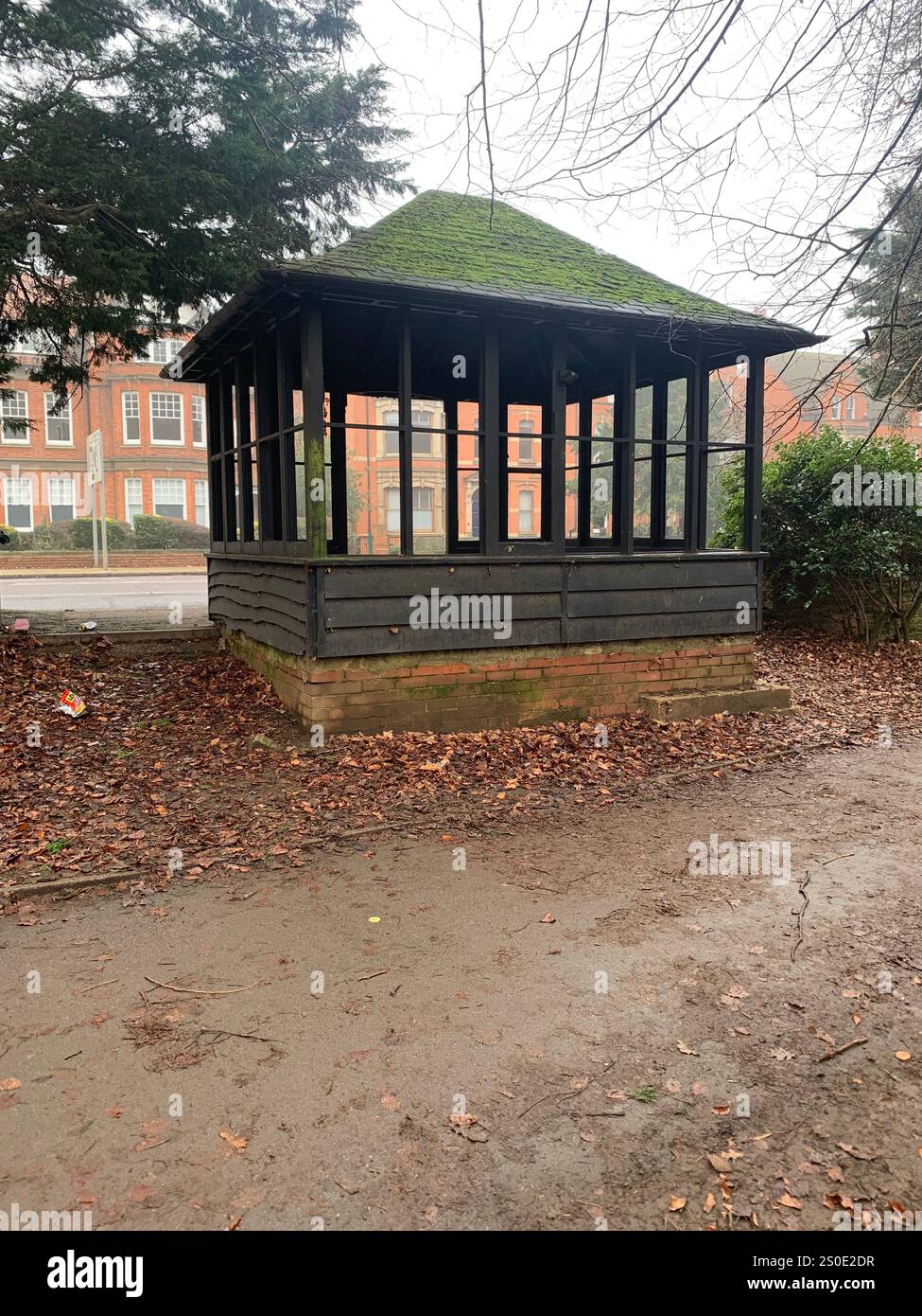 Abington Park Northampton Northamptonshire England UK fog ducks water mist misty place walking view Winter Autumn leaves cold brown Christmas - Smartphone Captured Stock Image