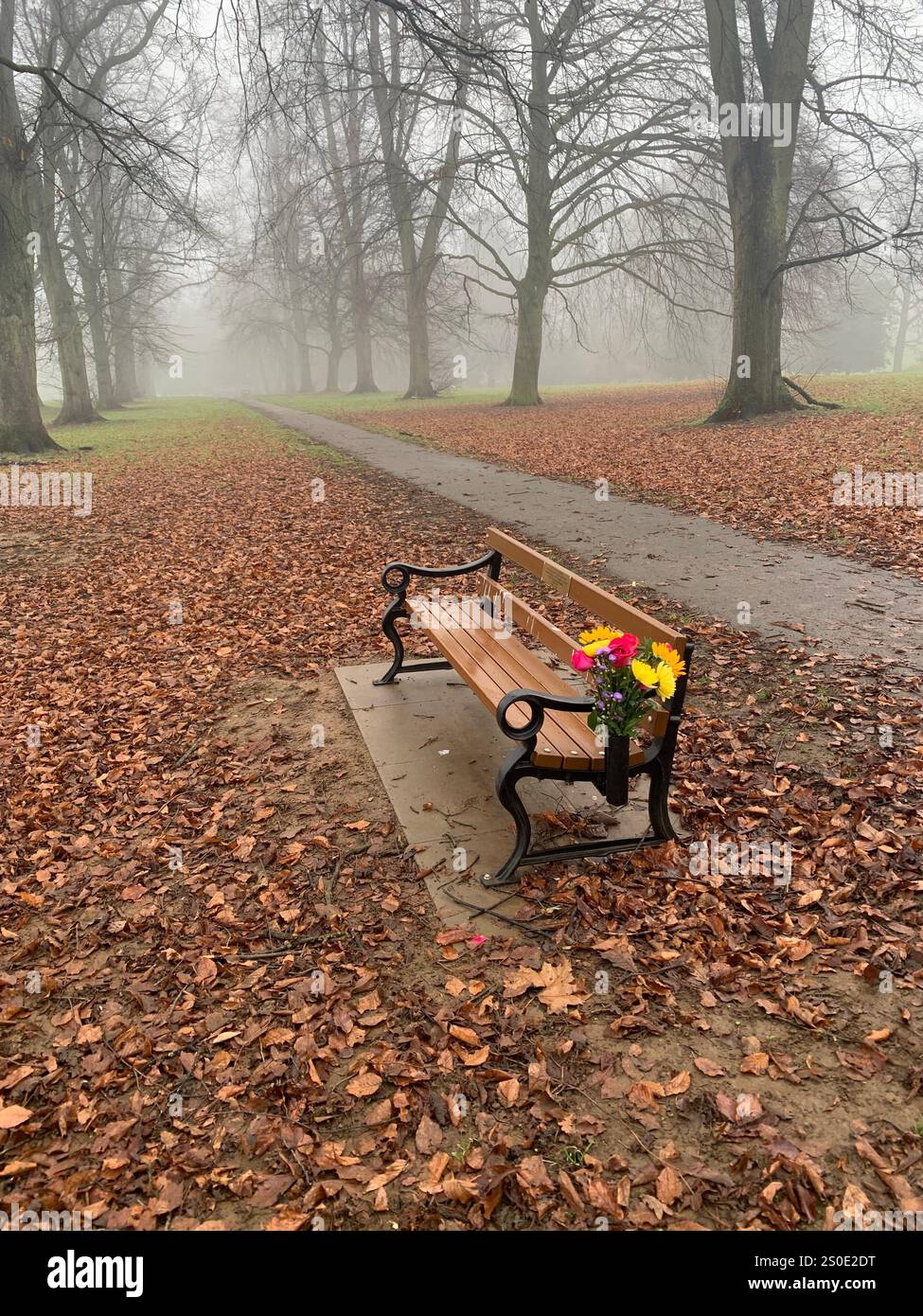 Abington Park Northampton Northamptonshire England UK fog ducks water mist misty place walking view Winter Autumn leaves cold brown Christmas - Smartphone Captured Stock Image