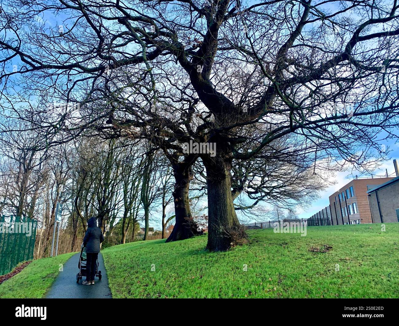 Guiseley North Yorkshire houses trees place town village countryside place sky weather Winter Christmas day place bleak clouds England old types - Smartphone Captured Stock Image