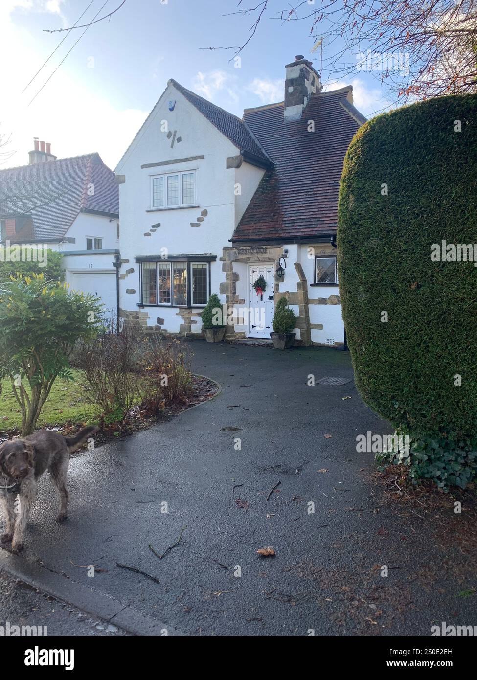 Guiseley North Yorkshire houses trees place town village countryside place sky weather Winter Christmas day place bleak clouds England old types - Smartphone Captured Stock Image