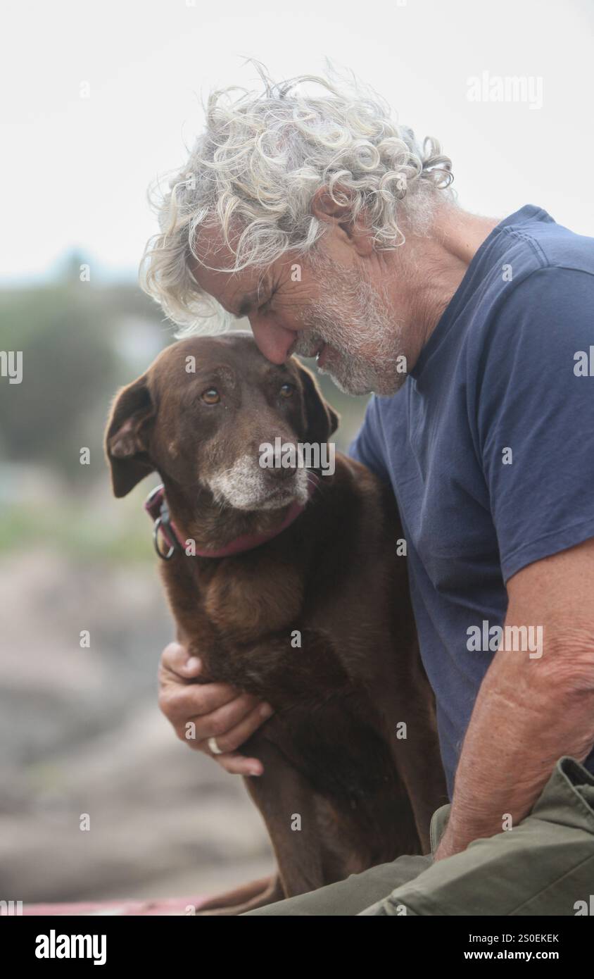 cheerful senior man with his dog in the park bonding Stock Photo - Alamy