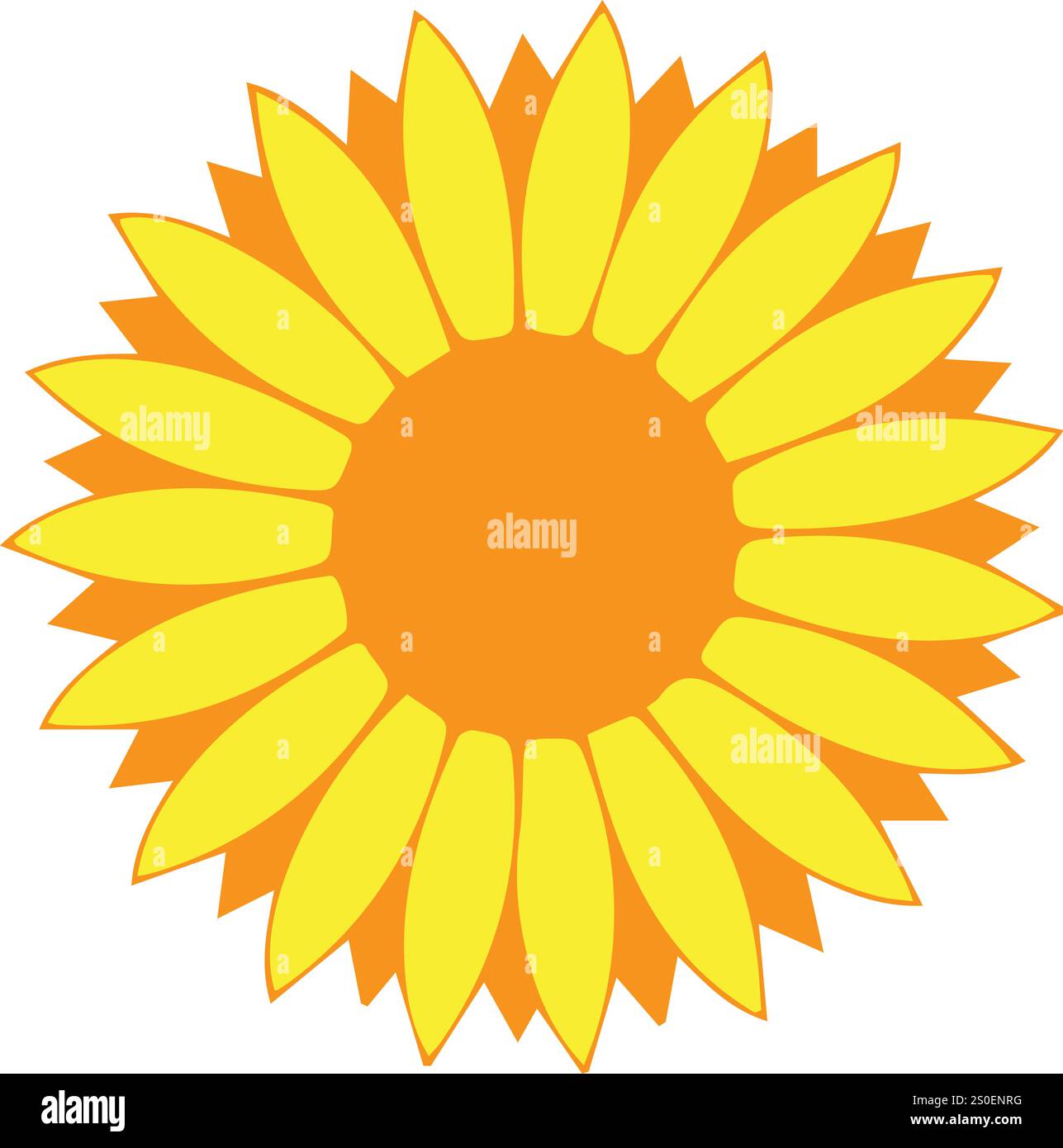 Daisy shape flowers Stock Vector Images - Alamy