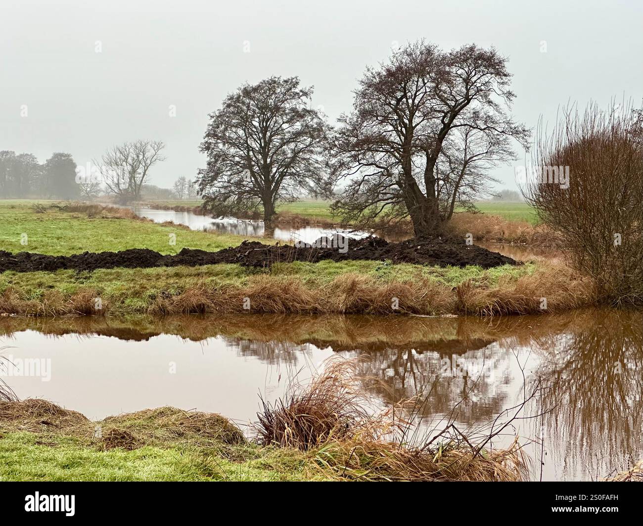 Impressions of the landscape called Truper Blaenken, a former moor, marsh and swamp close to Bremen, in winter, Germany - Smartphone Captured Stock Image