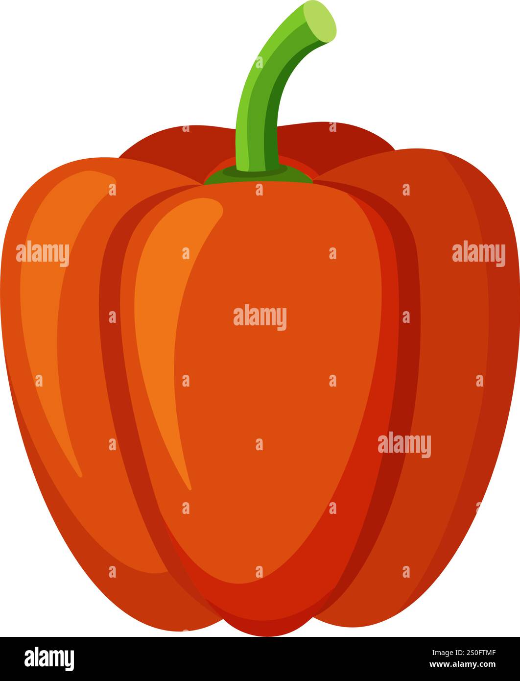 Bell pepper vegetable for cooking meals. A bright element Hand drawn ...