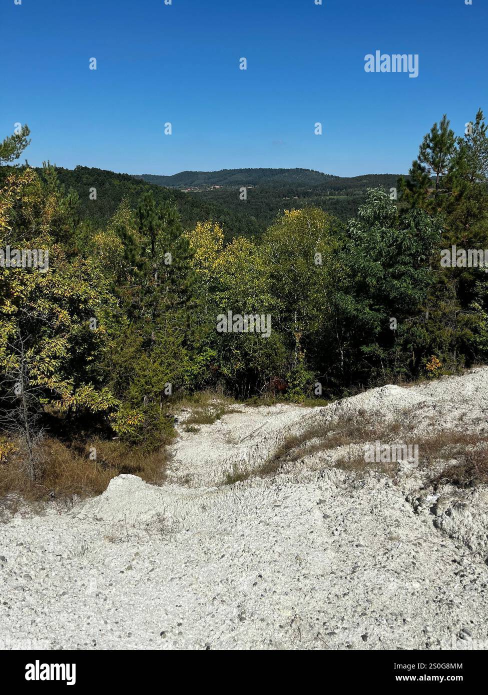 The image shows a scenic landscape with a clear blue sky and a view of a forested area. In the foreground, there is a white, rocky or sandy path. - Smartphone Captured Stock Image