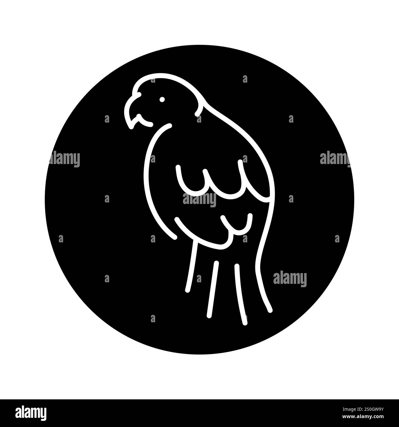 Eclectus roratus color icon. Editable stroke.Vector elements Stock ...