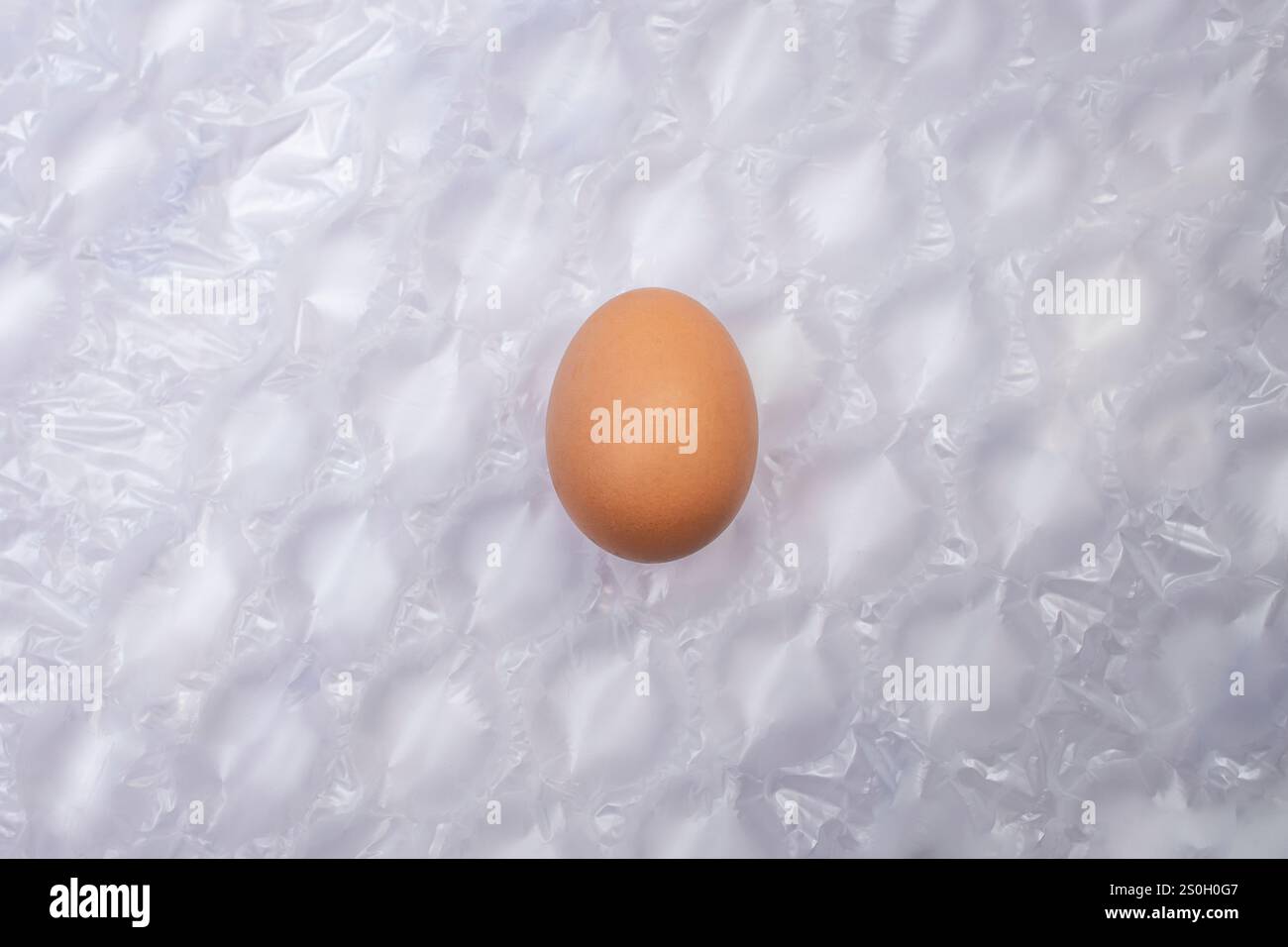 Chicken egg on air cushion bubble wrap background Stock Photo