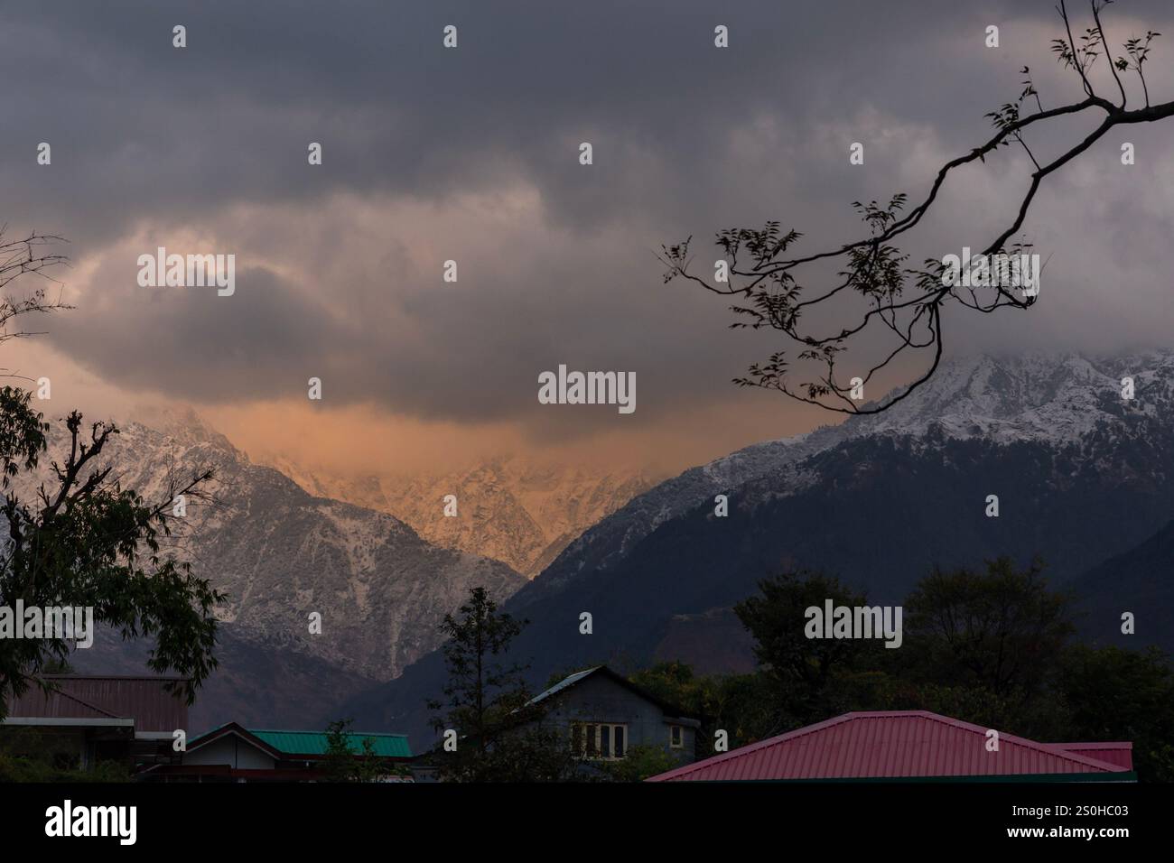 Palampur 101 jpg hi-res stock photography and images - Alamy