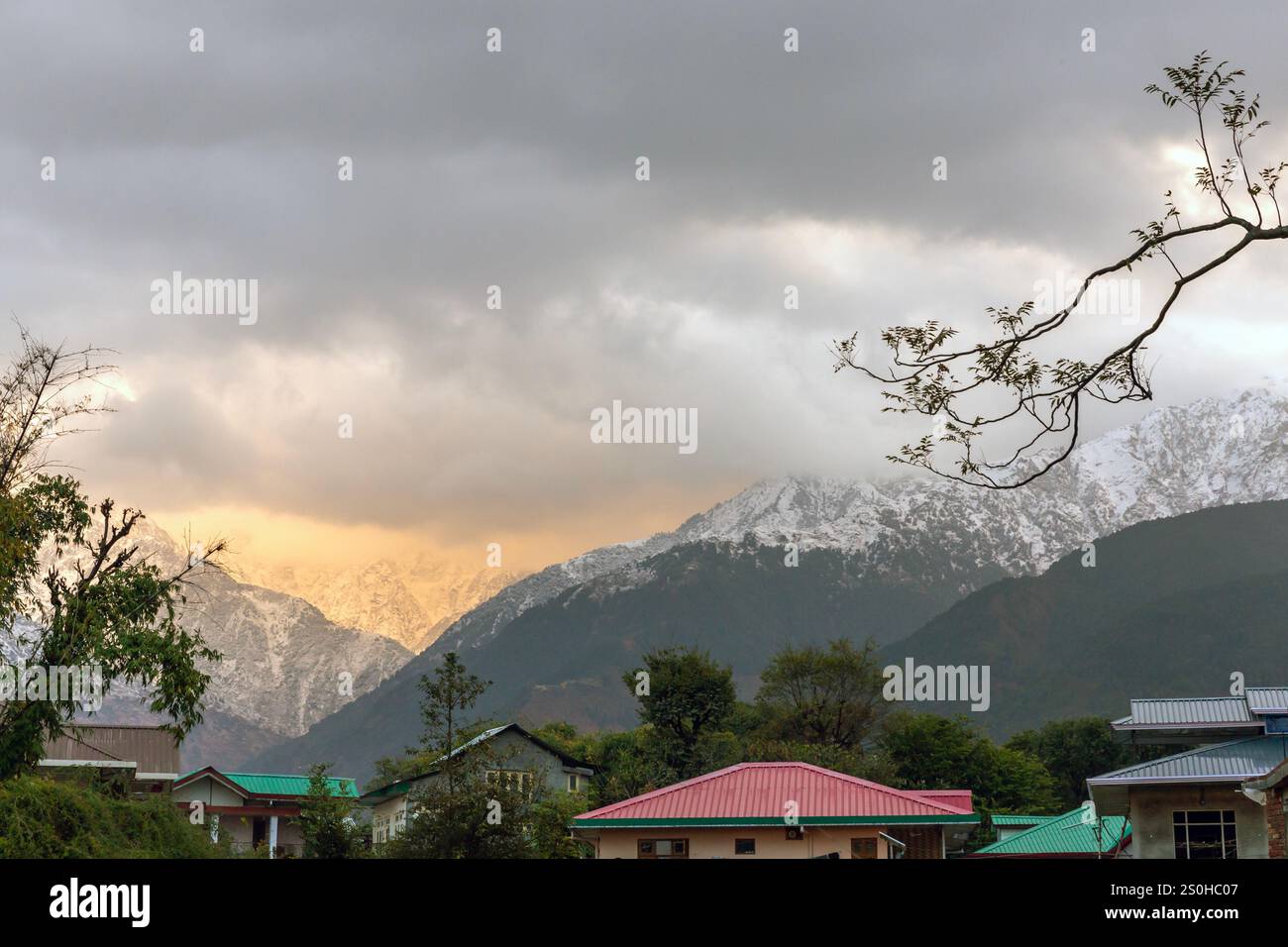 Palampur, Himachal Pradesh, India. 28th Dec, 2024. Snowfall continue on