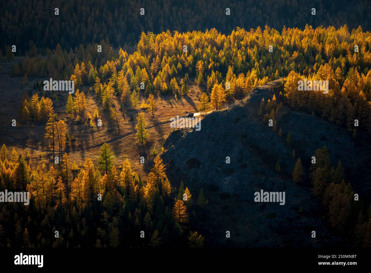 Scenic view of an autumn forest with vibrant golden trees, shadows over hills, and soft natural lighting during a serene sunset in a mountain valley. Stock Photo