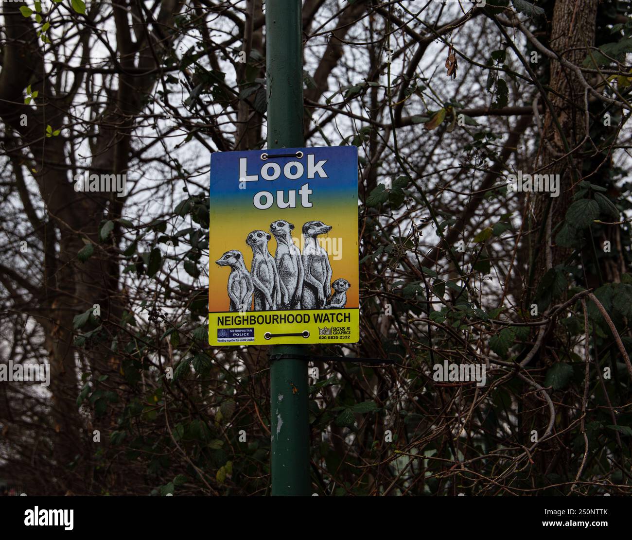 Neighborhood watch sign featuring meerkats on a pole surrounded by leafless trees in a wooded area Stock Photo
