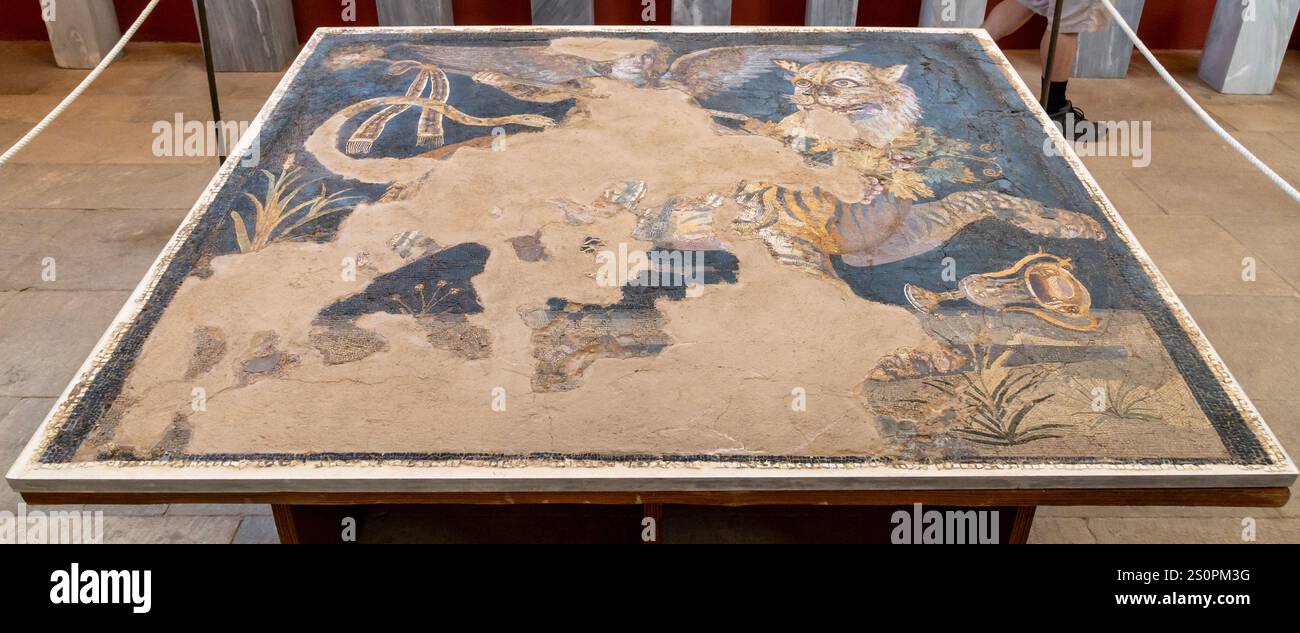 Ancient Mosaic Depicting a Vibrant Tiger Amidst Historical Artistic ...