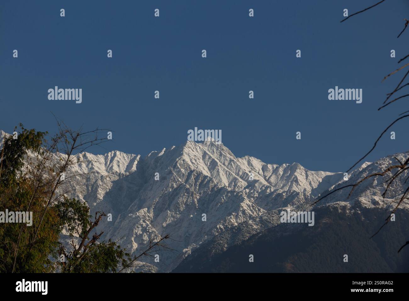 Palampur, Himachal Pradesh, India. 29th Dec, 2024. View of Dhauladhar