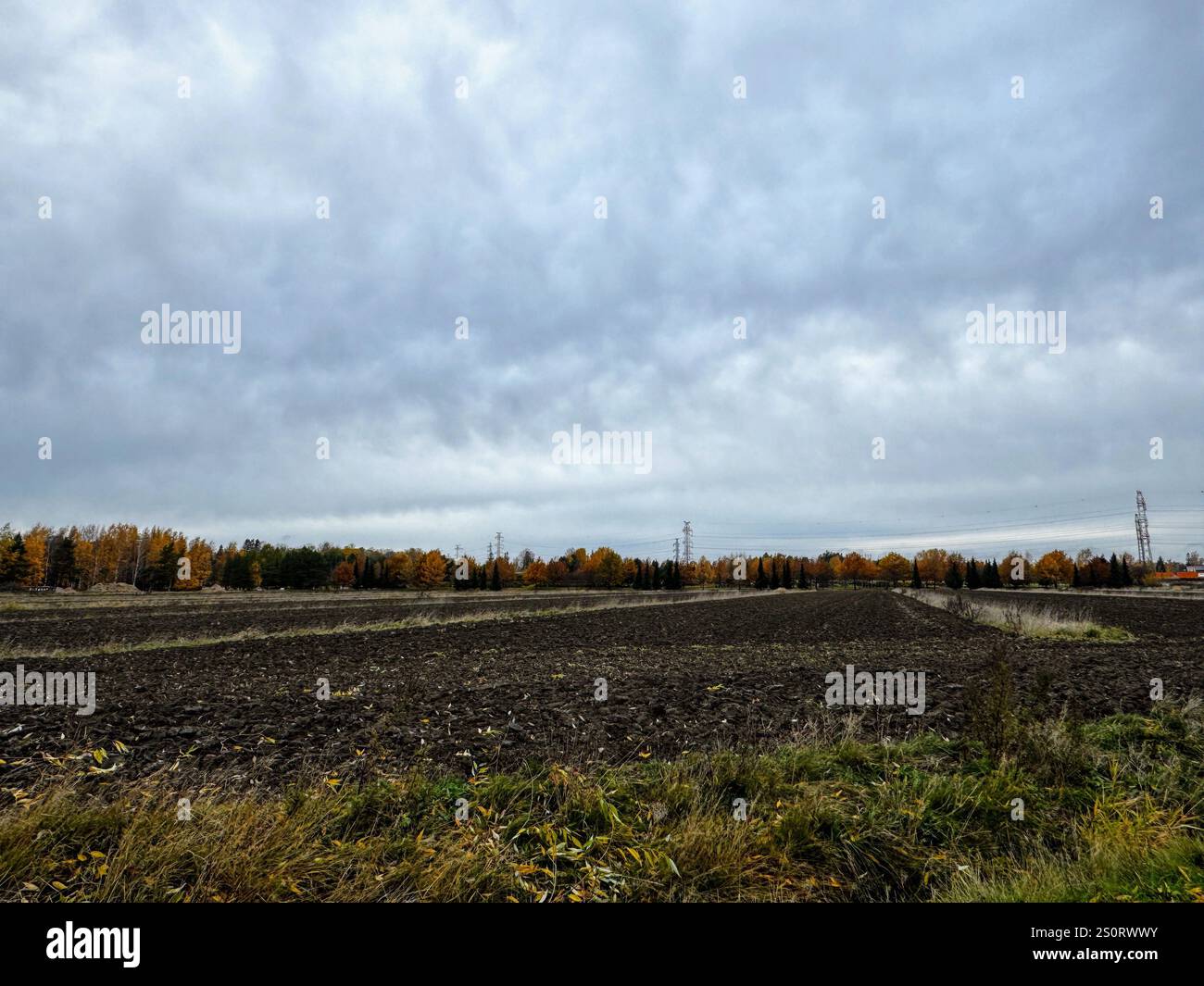 Autumn farmland in Finland with dry grass separating fields, capturing the rustic and peaceful Nordic countryside under an overcast sky during the fal - Smartphone Captured Stock Image