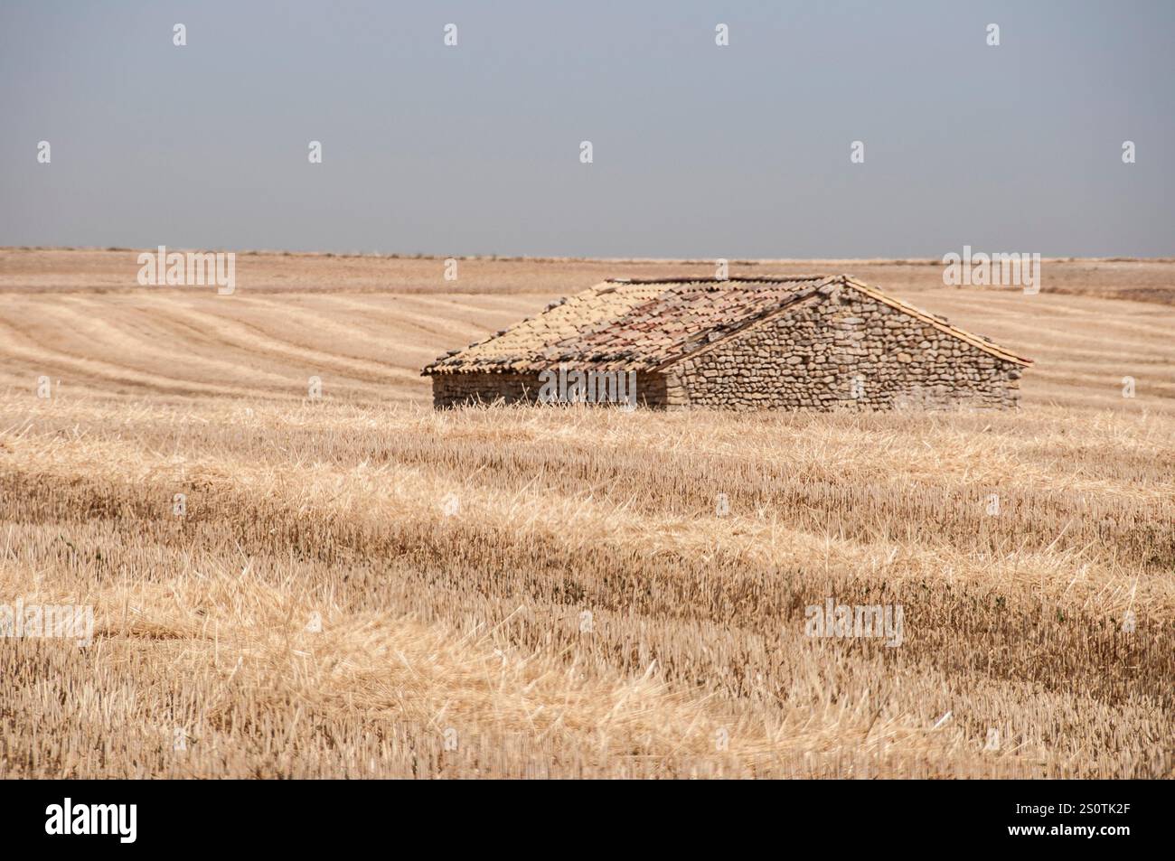 Campos de europa hi-res stock photography and images - Alamy