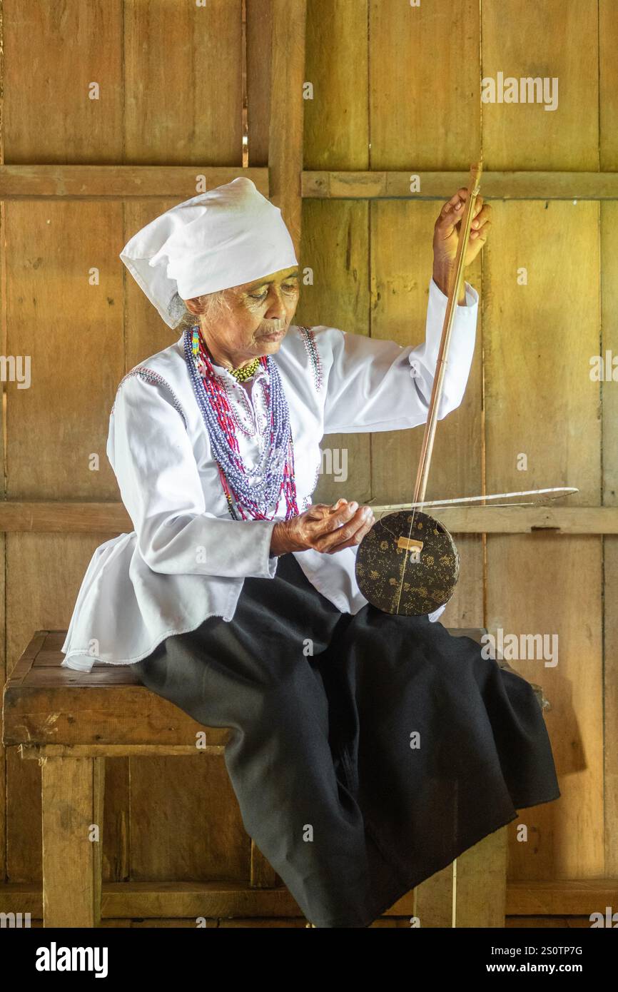 Traditional stringed instrument native to hi-res stock photography and ...