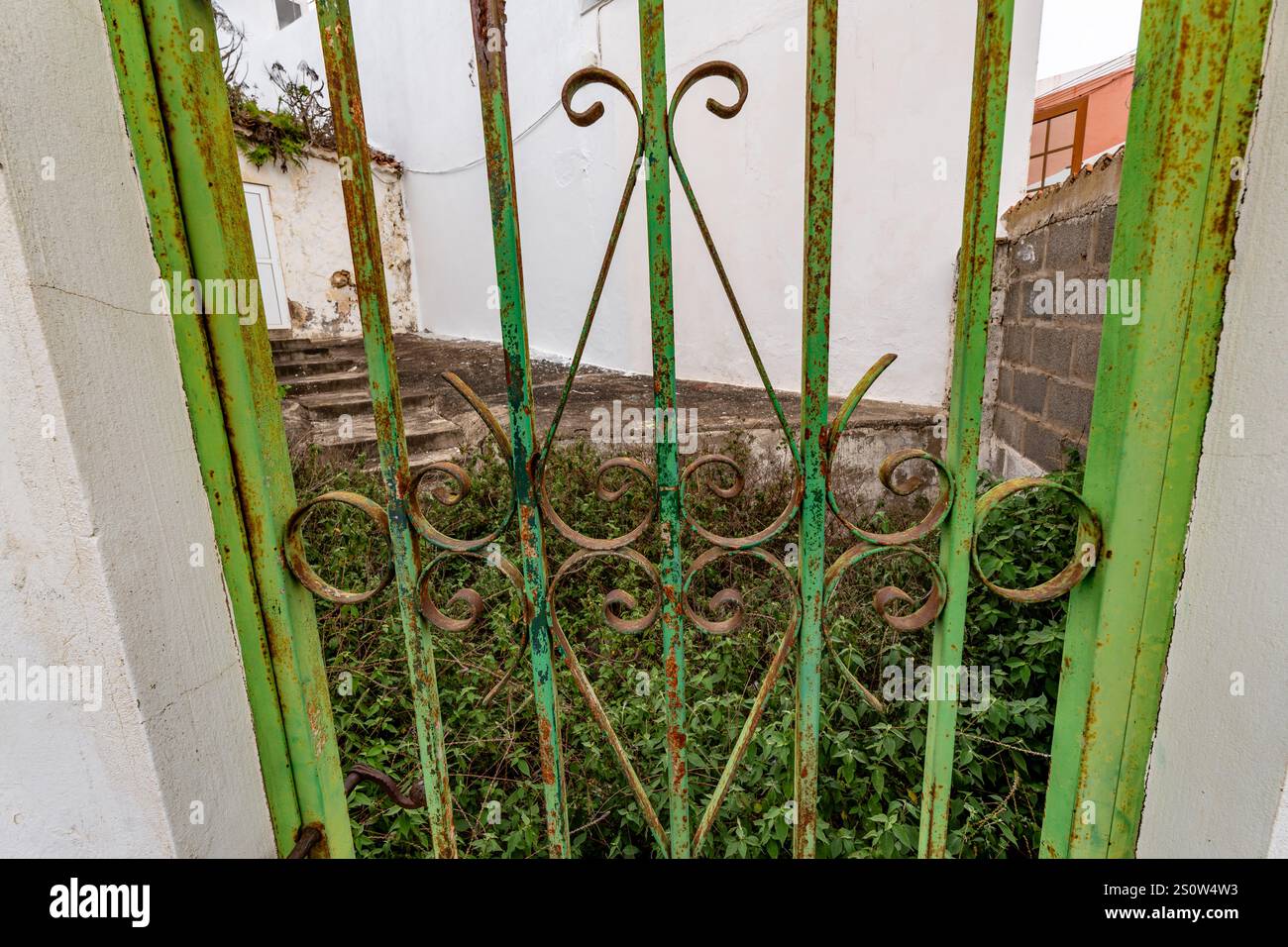 A green gate with a rusted iron design. The gate is open and the grass ...