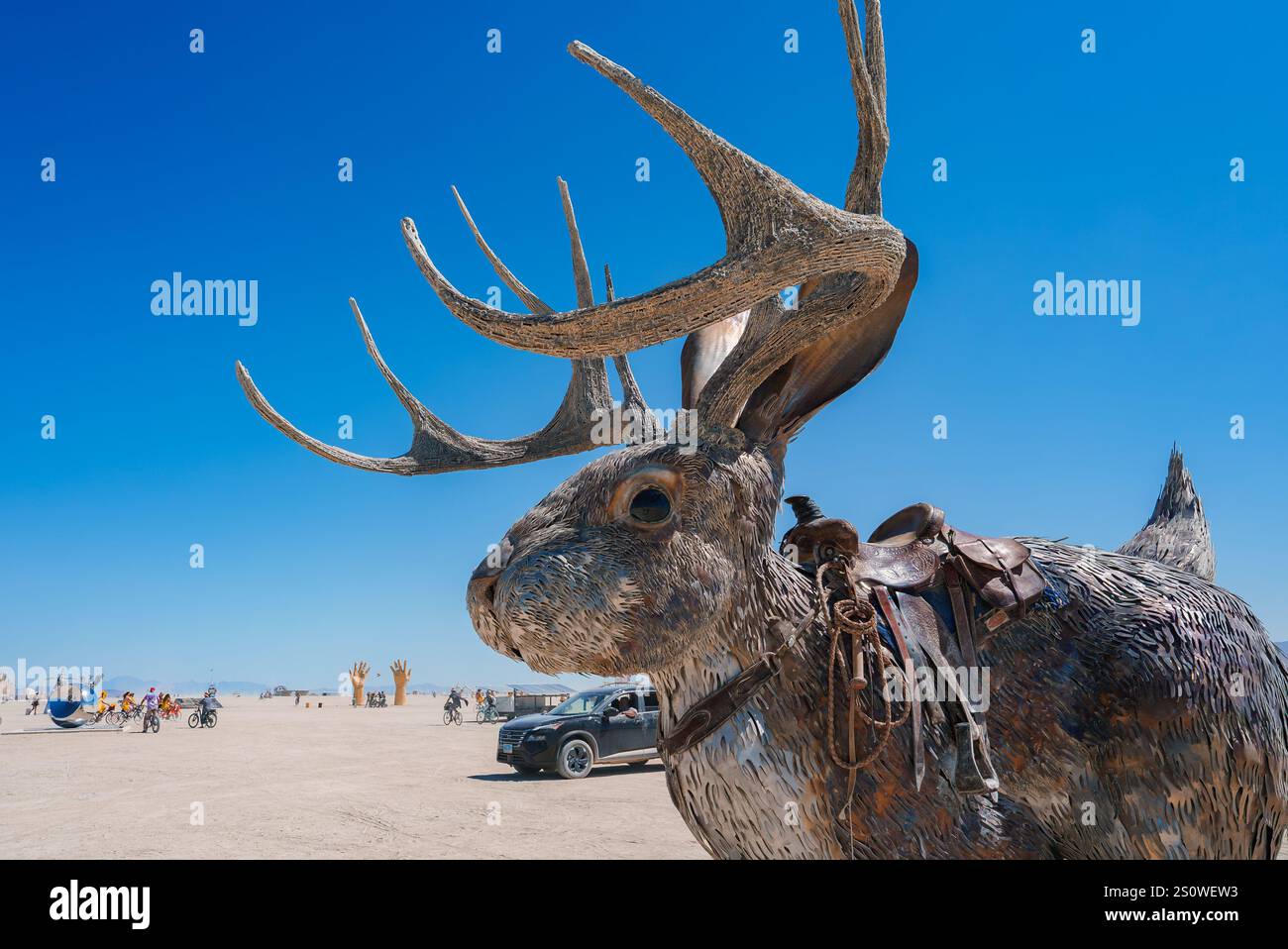 Jackalope Festival Looking Ahead