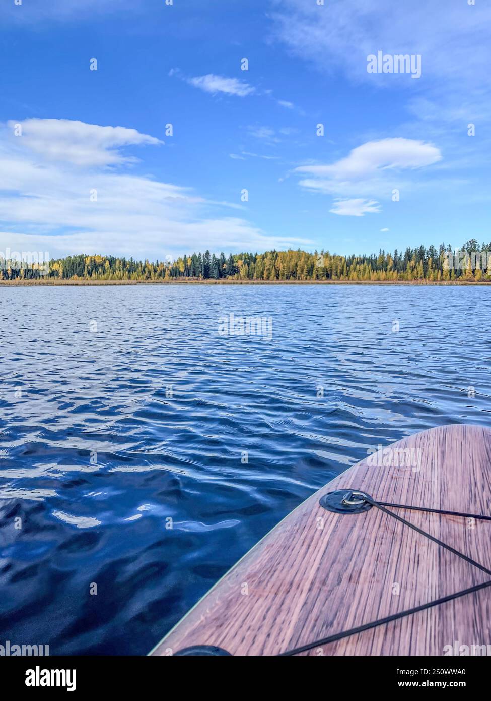 A paddleboard floats on crystal-clear lake water with a vibrant forest horizon under a bright blue sky. An idyllic outdoor experience in nature. - Smartphone Captured Stock Image