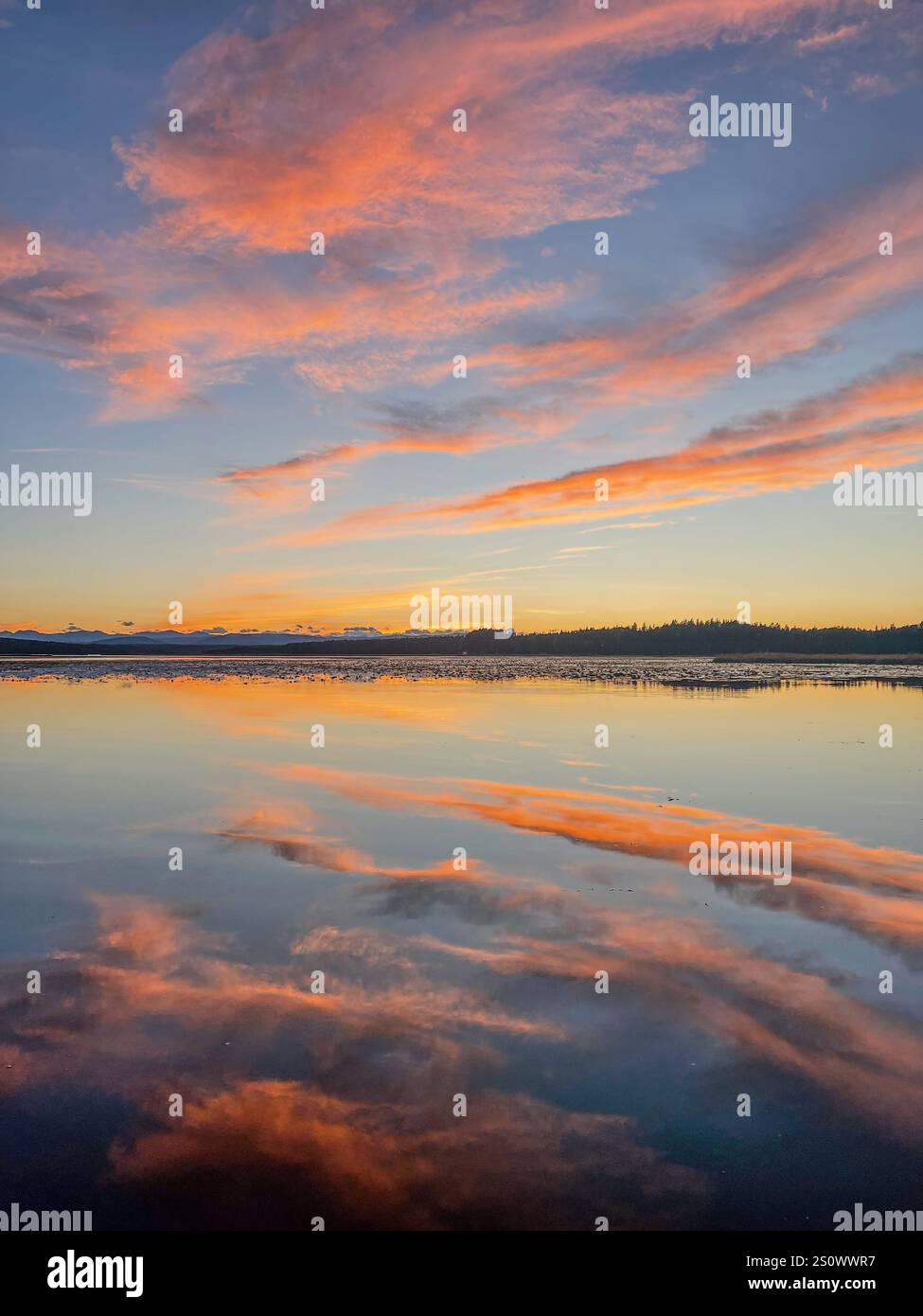 A peaceful sunset scene with vivid orange and pink clouds mirrored on a calm lake. - Smartphone Captured Stock Image
