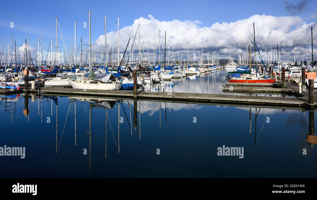 Everett, WA, USA - February 9, 2024; Port of Everett Marina on sunny day with reflection of pleasure boats Stock Photo