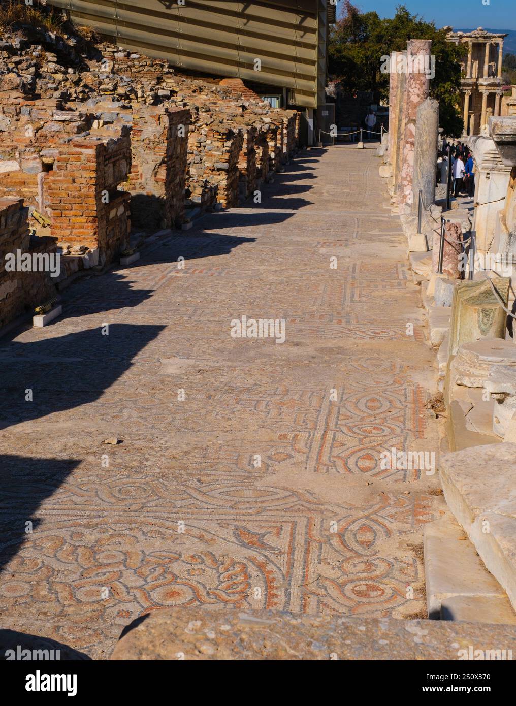 turkey-turkiye-ephesus-mosaics-alongside-curetes-street-sacred-way