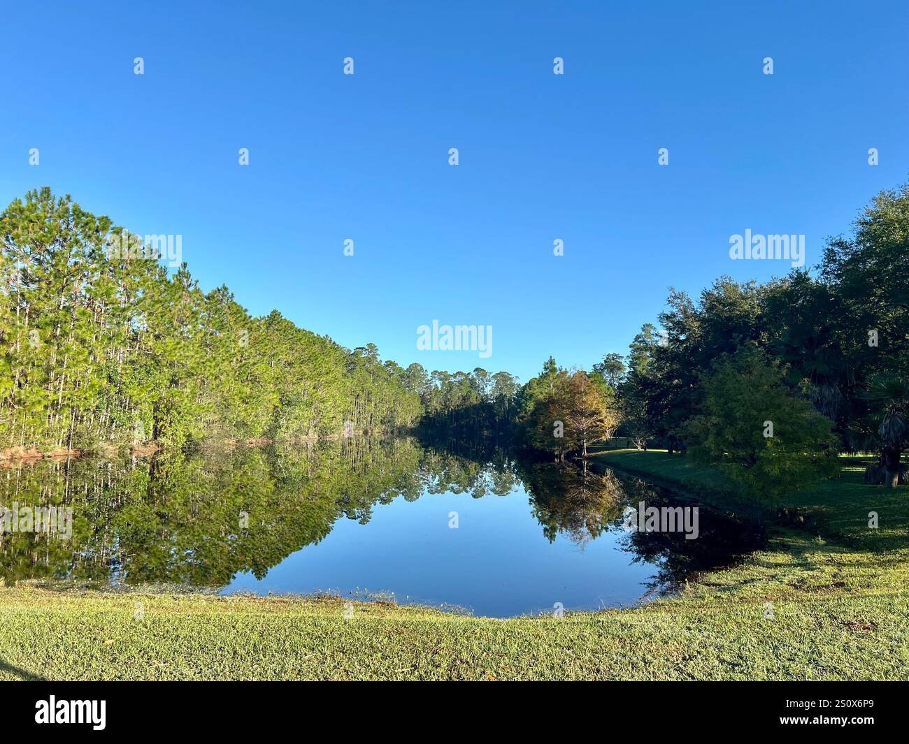 Reflection - Smartphone Captured Stock Image