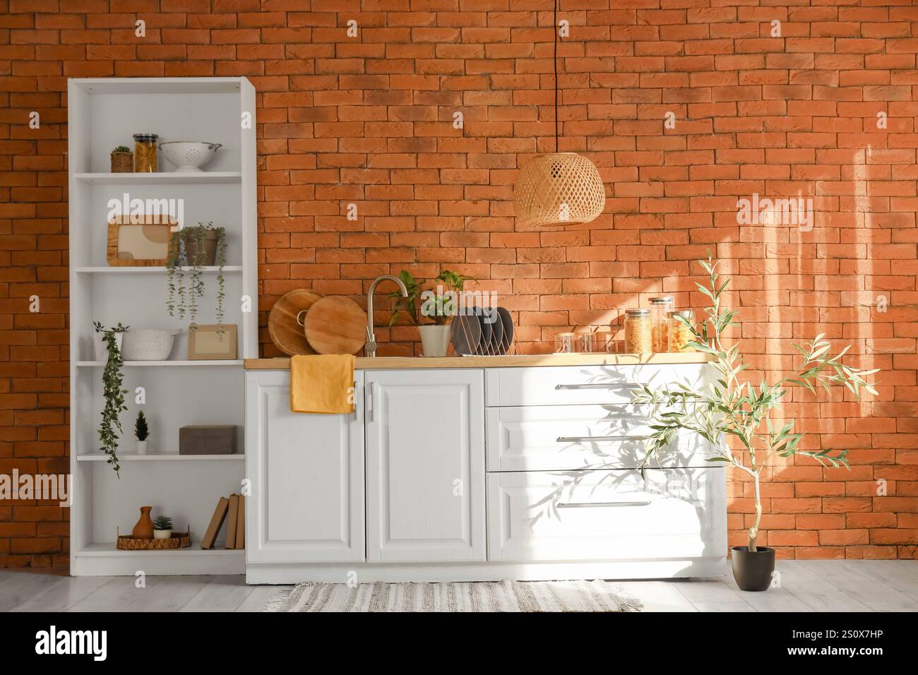 Interior of kitchen with white counters, shelf unit and plants Stock ...