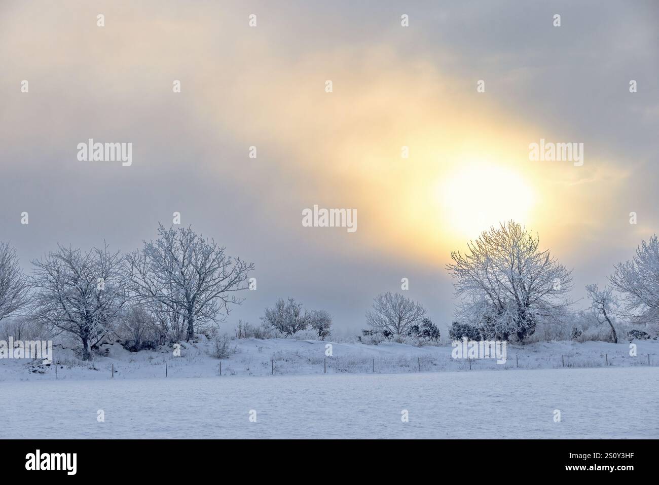 Wintry landscape with hoarfrost and the sun shining through the clouds Stock Photo