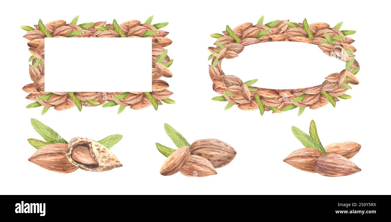 Almond nuts with leaves. Rectangular frame, banner, template set ...
