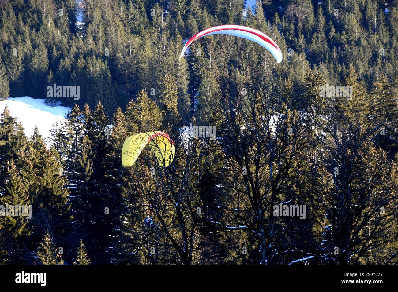 Gleitschirm Gleiter Oberstdorf 29.12.2024 Oberstdorf *** Paraglider