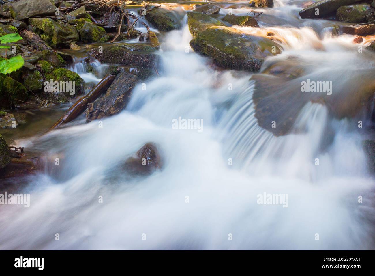 water flow of shypit stream. zen ecosystem. summer nature scenery in dappled light. closeup view of refreshing outdoor background. carpathian energy Stock Photo