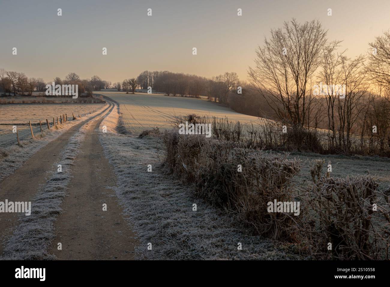 A farm track on a cold, frosty morning at sunrise in the winter. Stock Photo