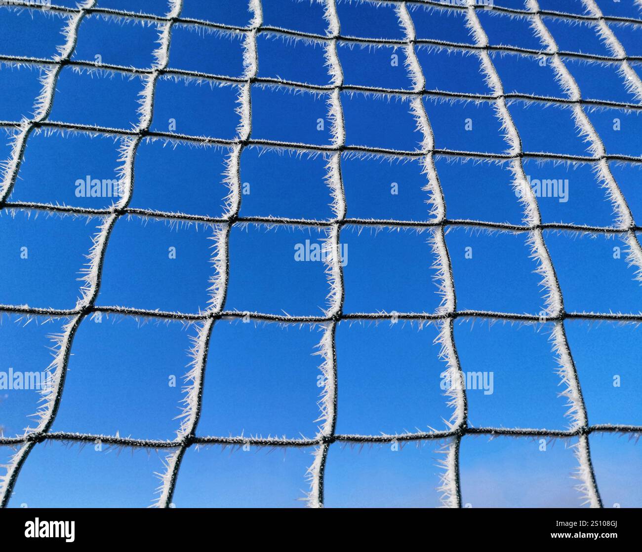 Transparent netting against a bright blue sky creates a serene outdoor atmosphere for various activities - Smartphone Captured Stock Image