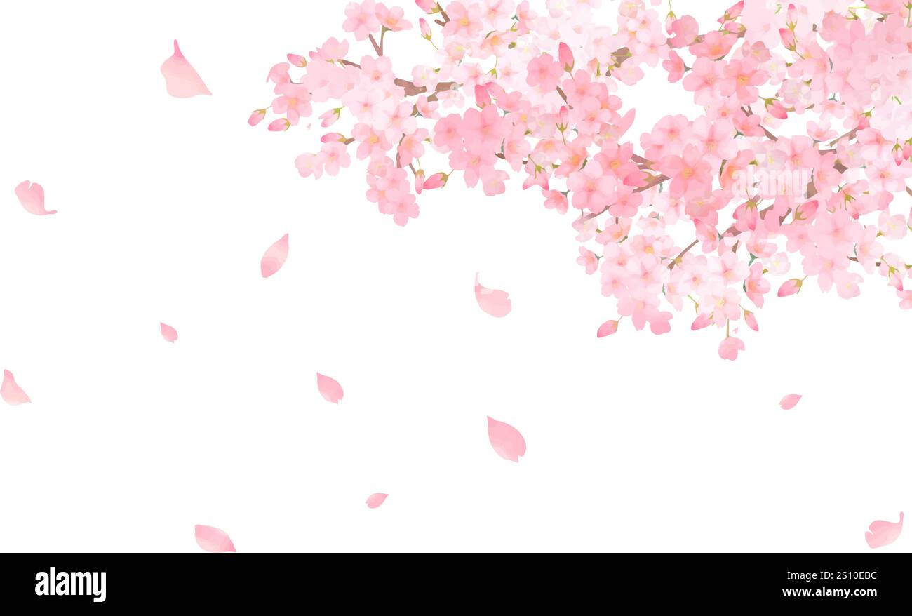 cherry blossoms beautiful vector background Stock Vector