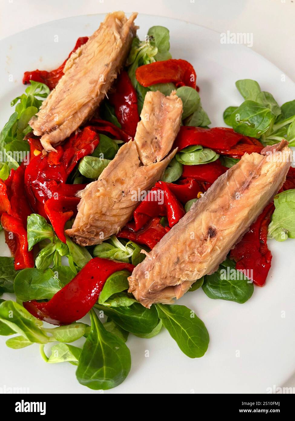 Salad made of red peppers, watercress and mackerel loins. - Smartphone Captured Stock Image