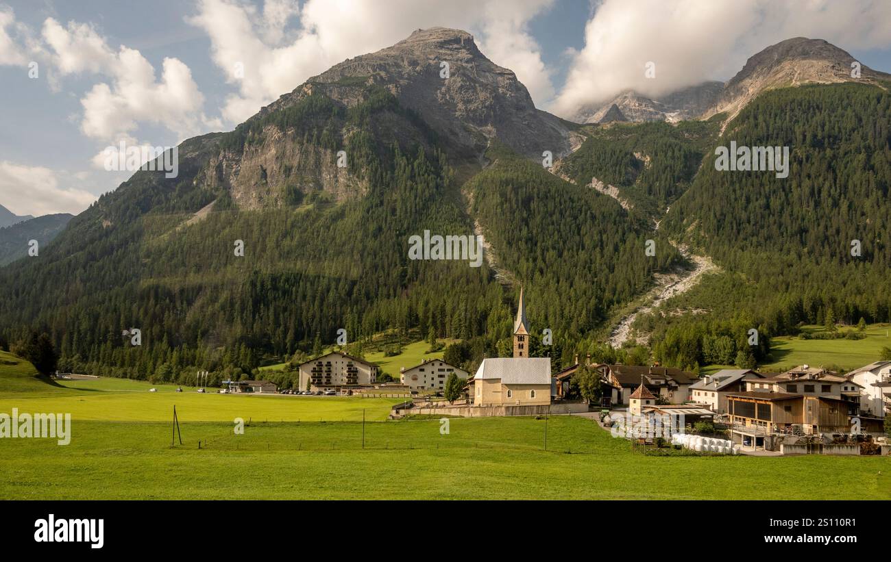 Trees and Mountain of The Swiss Alps Stock Photo - Alamy