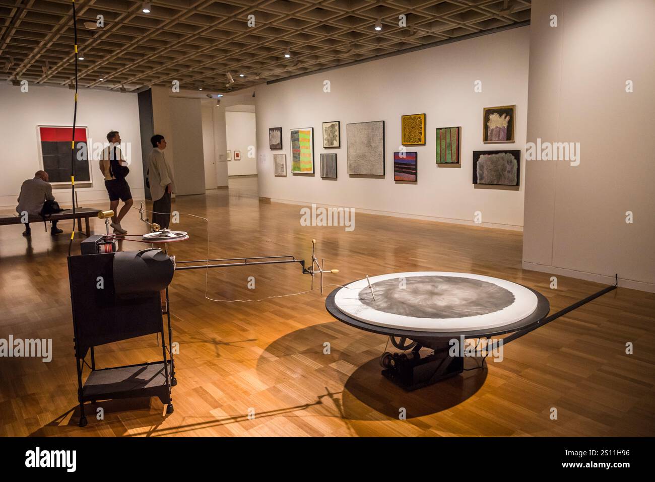 Contemporary art, Art Gallery of New South Wales - the old building, Sydney, NSW, Australia Stock Photo